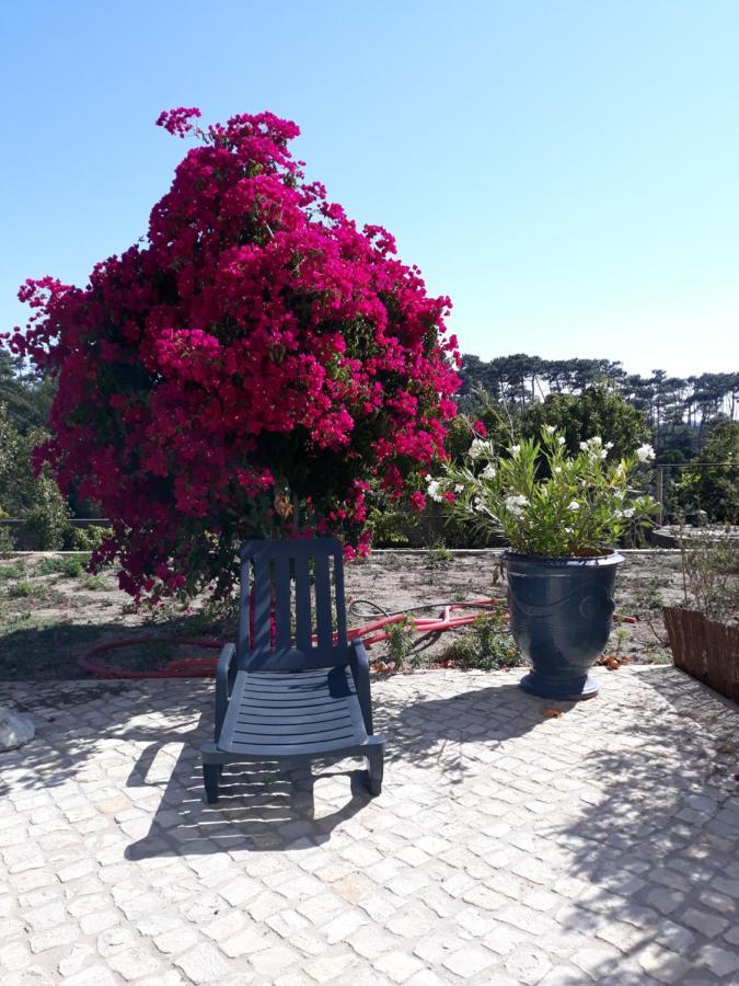 Plage Et Foret Pobral Exterior photo